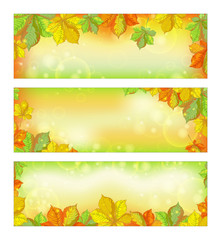 Set of autumn horizontal banners with fallen chestnut leaves with a glow effect. Vector decorative composition.