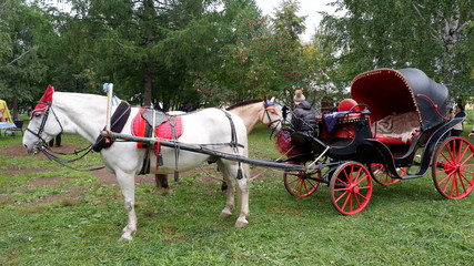 horse and carriage