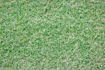 artificial turf texture background
