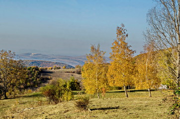 Amazing autumn view of glade, hill, forest with deciduous trees  near to pretty village Zhrebichko,...