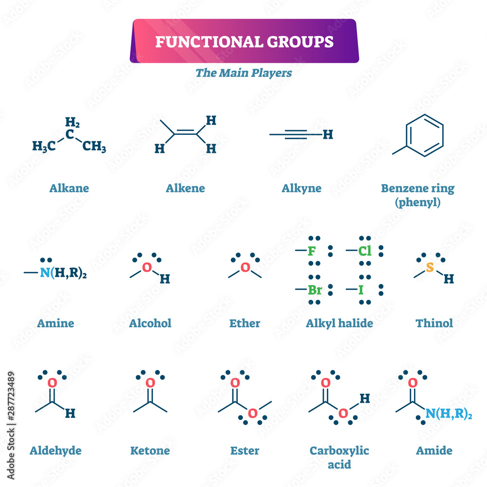 Poster functional groups vector illustration. chemical reactions explanation list.