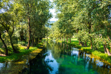 Beautiful river Gacka, river surface between the trees, Lika region of Croatia