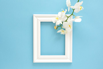 White photo frame with white orchids. Beautiful White Phalaenopsis orchid flowers, wooden white photo frame on blue background flat lay.  Frame for text. Women's Day. Flower Card.  