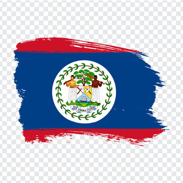 Flag Belize from brush strokes. Flag Belize on transparent background for your web site design, logo, app, UI. Stock vector.  EPS10.