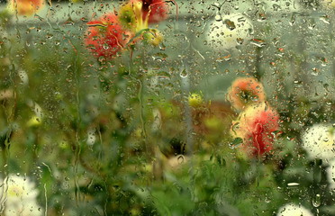 Fototapeta na wymiar Window.Rain water drop with background blur. Abstract multicolored background, texture.