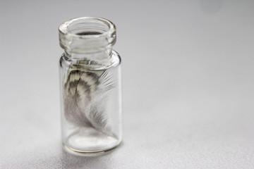 feather in glass bottle