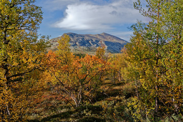 Norway. September in Rondane National Park