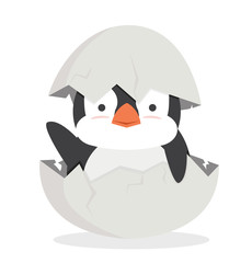 cute baby penguin fat hatched in egg vector