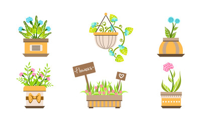 Indoor and Outdoor Potted Plants Set, Home or Office Decorative Plants in Pots Vector Illustration