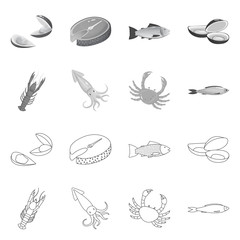 Vector design of fresh and restaurant symbol. Collection of fresh and marine stock symbol for web.