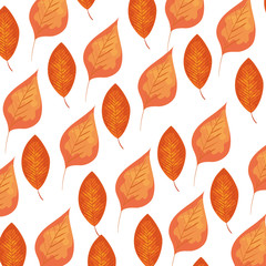 Obraz premium autumn dry leafs nature pattern