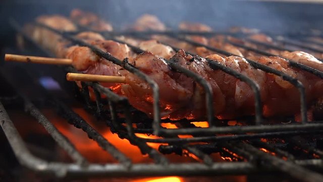 Meat Food Cooking on Coal Fire Barbecue