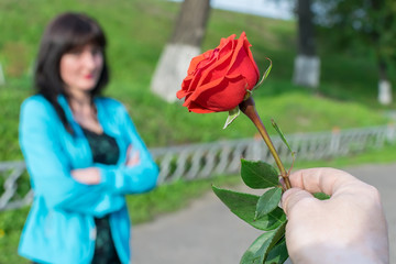 a man's hand holds out a red rose as a sign of reconciliation, apology, against the offended girl