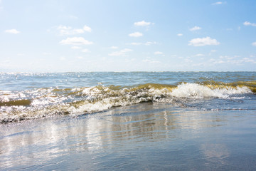 mare schiuma spiaggia