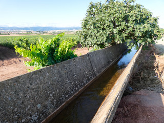 Acequia que transporta gua para regadío de los campos de La Rioja