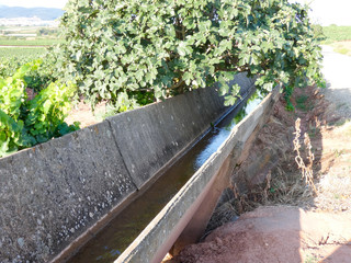 Acequia que transporta gua para regadío de los campos de La Rioja