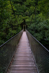 Pont suspendu 