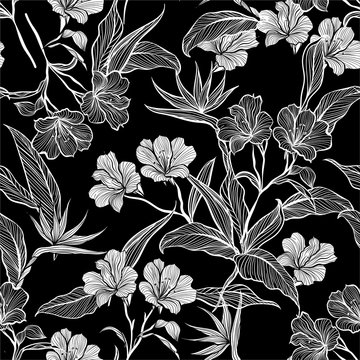 Modern black and white  Seamless pattern line botanic flowers and plants in the garden
