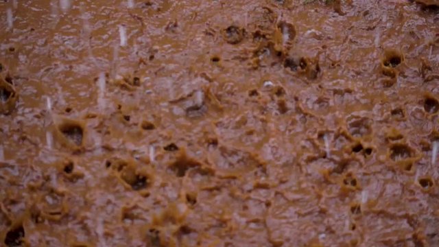 Slow motion shot of rain drops hitting a muddy puddle and creating interesting patterns with the splashes.