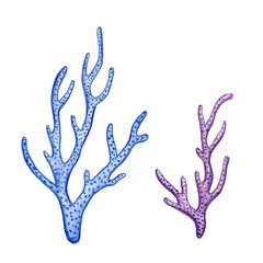 Hand paint watercolor coral sea ocean icon set design scrap book paper, textile, web sites
