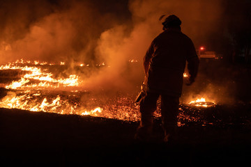 Fototapeta premium firefighter in action