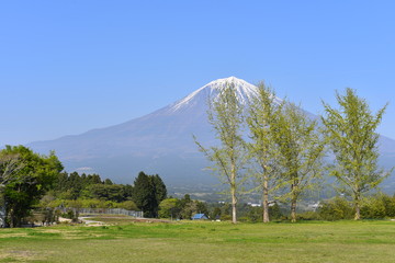 富士山