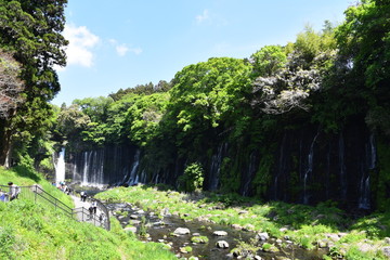 静岡県白糸の滝