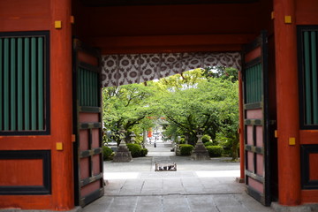 富士宮浅間大社