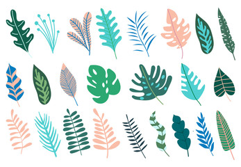 Set with abstract tropical jungle leaves. Collection of trendy foliages. Vector illustration