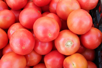 Tomatoes. Garden tomatoes. Pink tomato pattern.