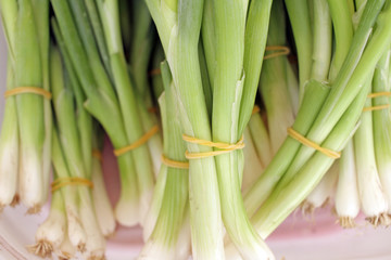 Spring onion. Young green onions. Onion pattern.