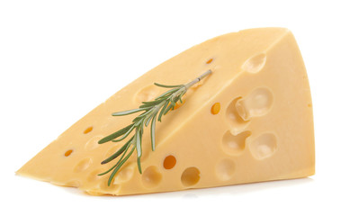 A slice of tasty Maasdam cheese with large holes and a sprig of razmarin on a white isolated background. close-up