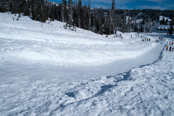 winter landscape with road and snow