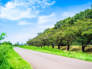 多摩川サイクリングコース
