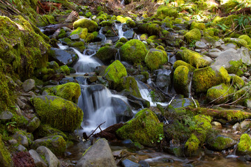 Mountain valley with moss and water