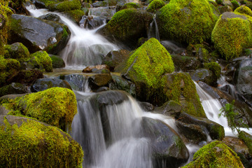 Naklejka na ściany i meble Mountain valley with moss and water
