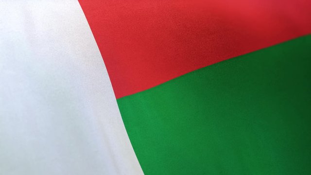 Madagascar national flag seamlessly waving on realistic satin texture 29.97FPS