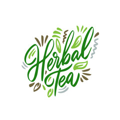 Herbal tea hand drawn illustration. Template for card banner and poster for restaurant menu and package. Vector illustration