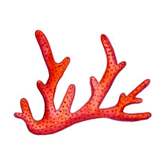 Hand paint watercolor coral sea ocean icon set design scrap book paper, textile, web sites