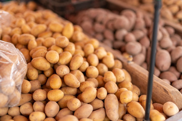 Wochenmarkt mit frischen Kartoffeln