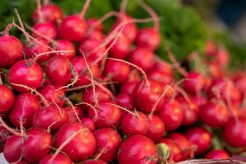 Wochenmarkt mit frischen Radieschen