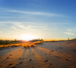 dune among a sandy desert at the sunset