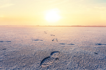 dry saline land landscape at the sunset, wilderness background
