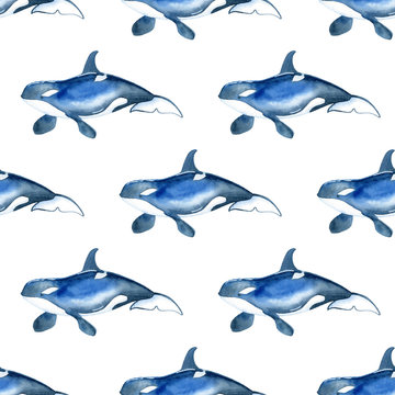 killer whale watercolor hand painted seamless pattern. Sea background.