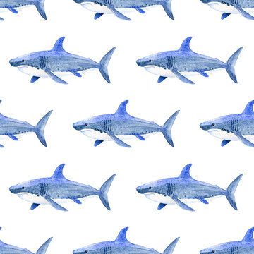 Shark watercolor hand painted seamless pattern. Sea background.