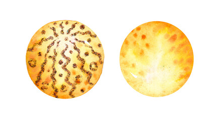 Set of circles hand drawn watercolor, isolated. Abstraction background. Watercolor hand painted yellow orange with spangle circle shape design elements xmas