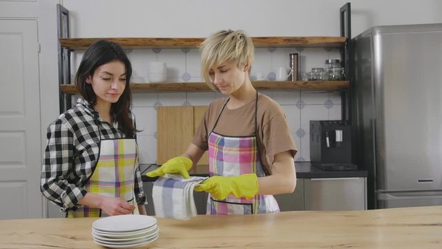 Lesbian Women Doing Chores And Dish Washing Together