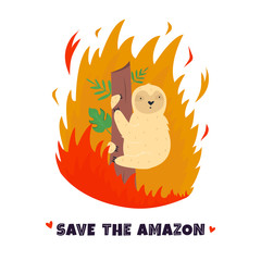 Amazonian forest in fire. Sloth in flame.