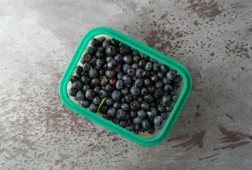 Container of freshly picked wild blueberries on a gray background.