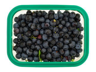Container of freshly picked wild blueberries on a white background.